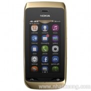Nokia Asha 308 (cty)